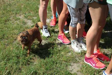 Nike Forest Run: идеальный бег в июльском лесу (ФОТО)